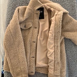 hollister jacket